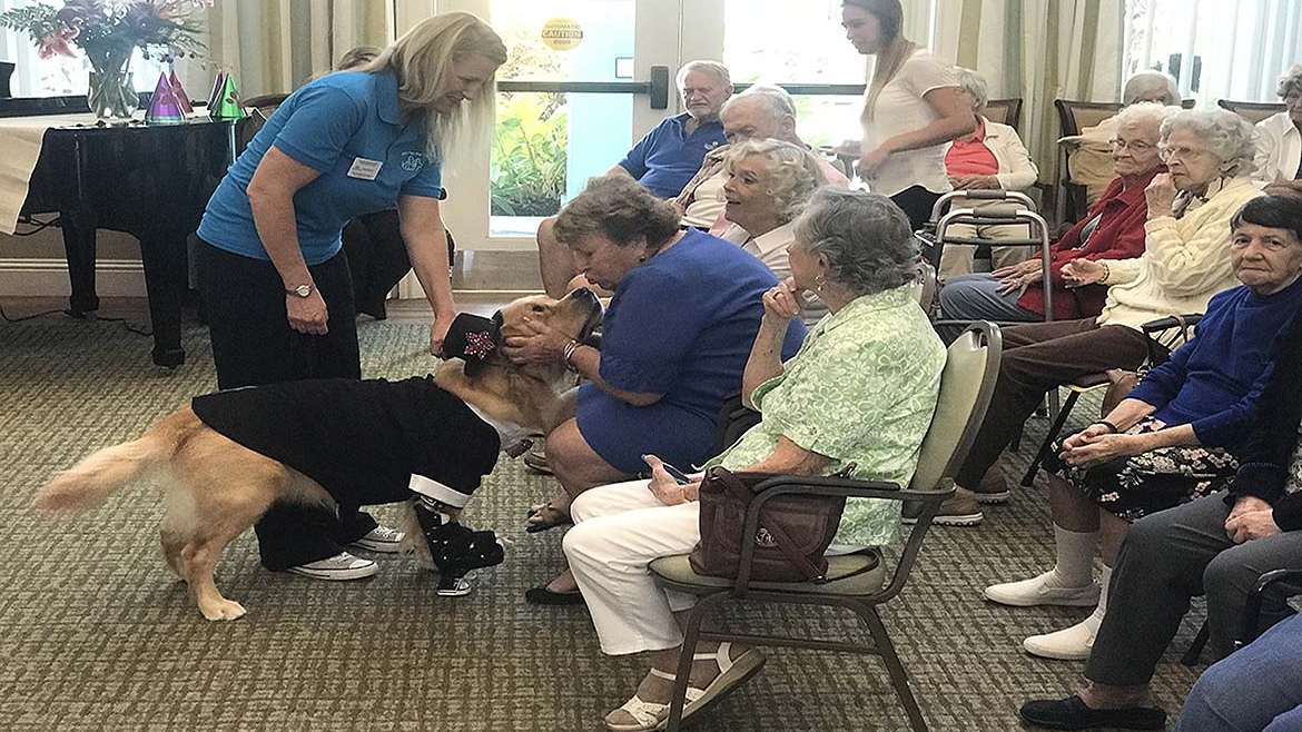 It was a Doggone Good Fashion Show at our Memory Cafe