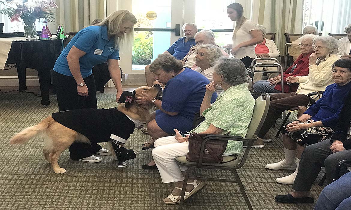 It was a Doggone Good Fashion Show at our Memory Cafe